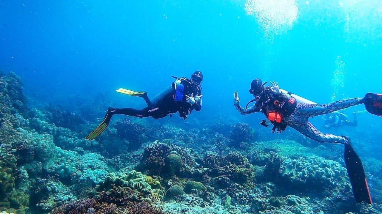 La Tortue Diving Resort Dauin Exterior foto